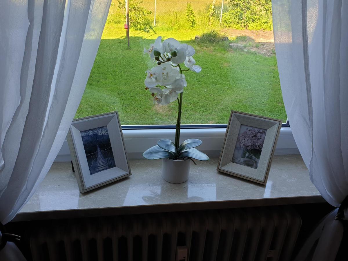 Ana'S Ferienwohnung フュルト・イム・ヴァルト エクステリア 写真